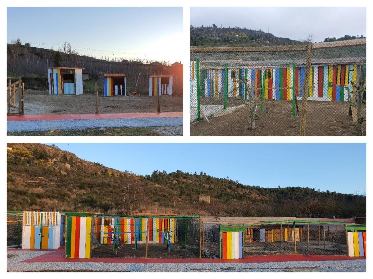 Gojim Casa Rural Armamar Exterior photo