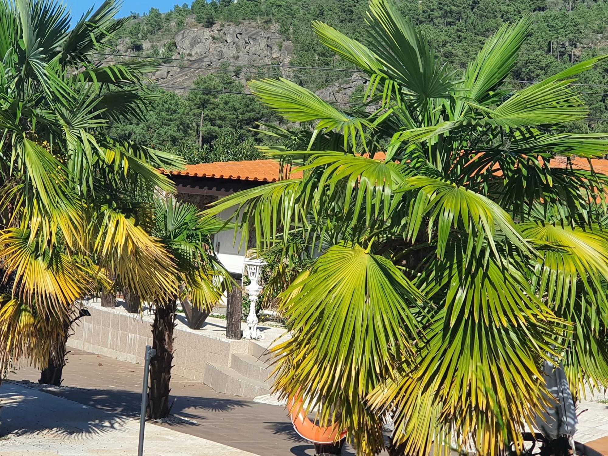 Gojim Casa Rural Armamar Exterior photo